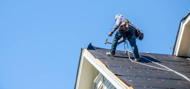 Best Storm Damage Roof Repair  in Clinton, MI